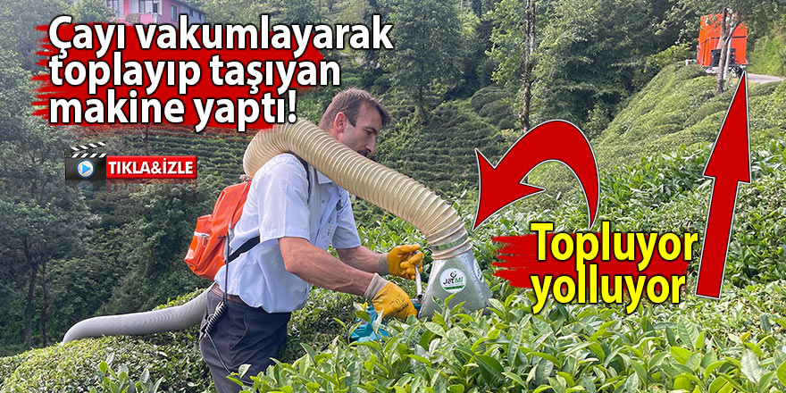 Çayı vakumlayarak toplayıp taşıyan makine yaptı!