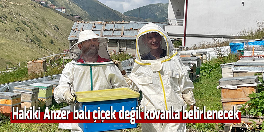 Hakiki Anzer balı çiçek değil kovanla belirlenecek