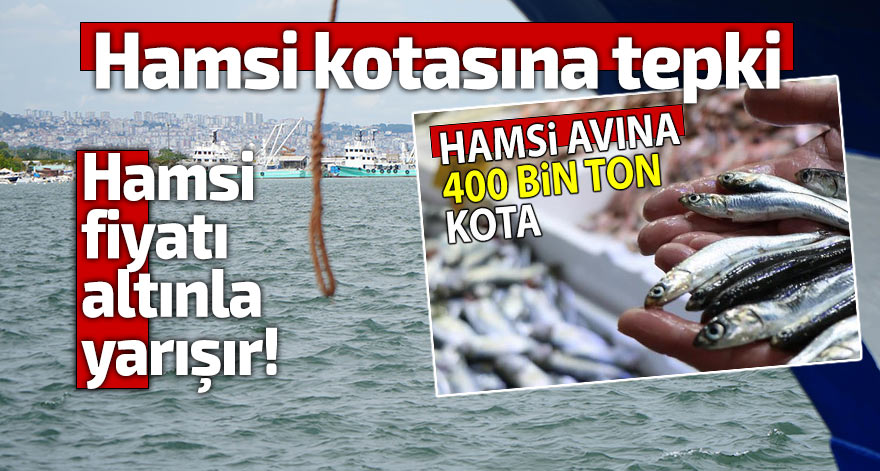 Hamsi kotasına tepki: Fiyatı altınla yarışır!