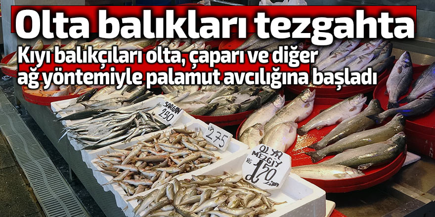 Palamutlar tezgahları süslemeye başladı