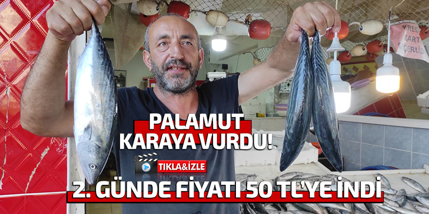 Palamut karaya vurdu! 2. gün fiyatı 50 TL'ye indi