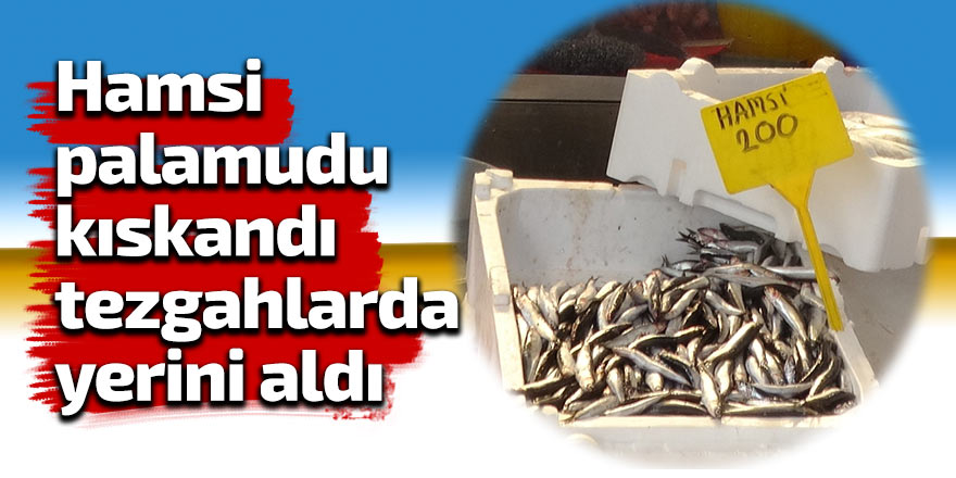 Hamsi palamudu kıskandı, tezgahlarda yerini aldı