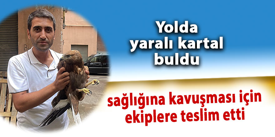 Yolda yaralı kartal buldu, sağlığına kavuşması için ekiplere teslim etti