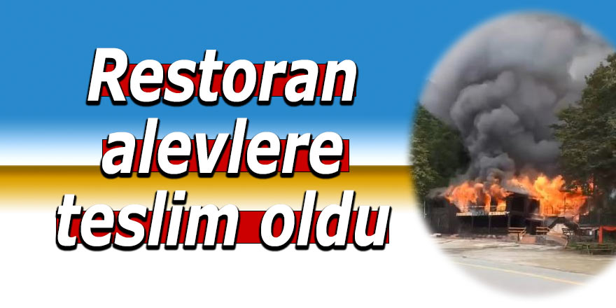 Restoran alevlere teslim oldu