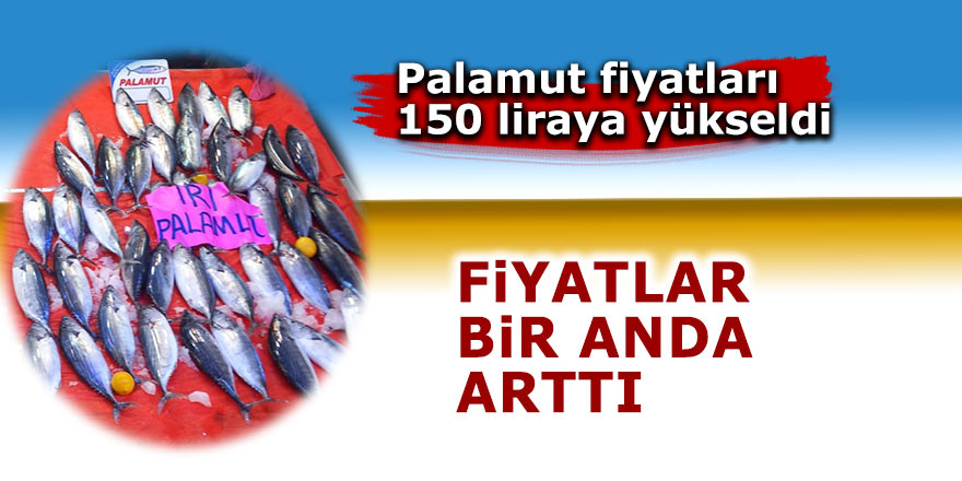 Palamut fiyatları 150 liraya yükseldi