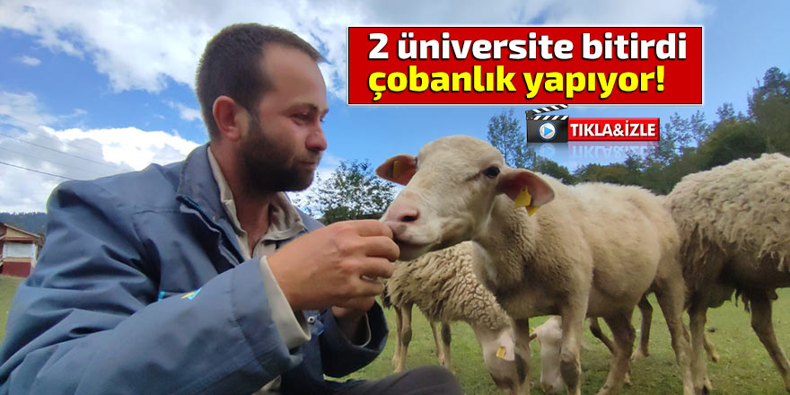 2 üniversite bitirdi, çobanlık yapıyor!