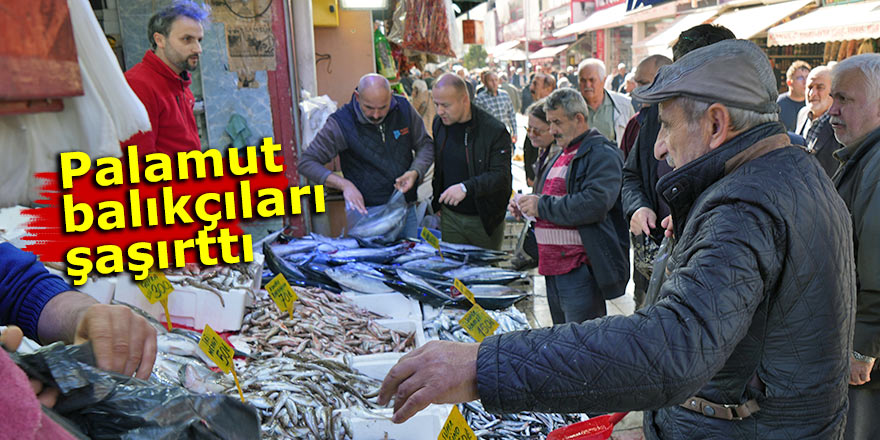 Palamut balıkçıları şaşırttı