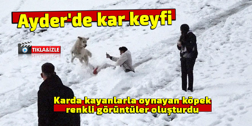 Ayder'de karda kayanlarla oynayan köpek renkli görüntüler oluşturdu