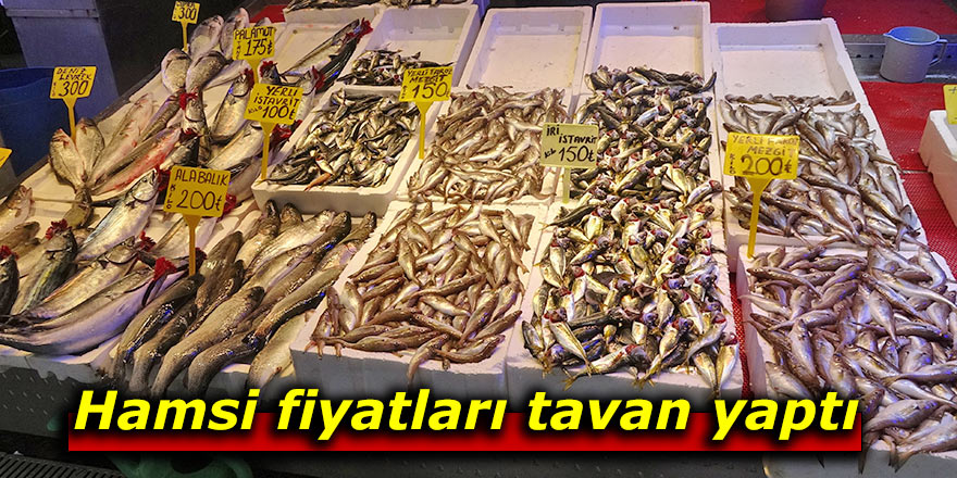 Hamsi fiyatları tavan yaptı