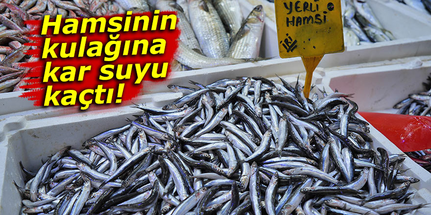 Hamsinin kulağına kar suyu kaçtı!