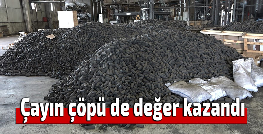 Çayın çöpü de değer kazandı