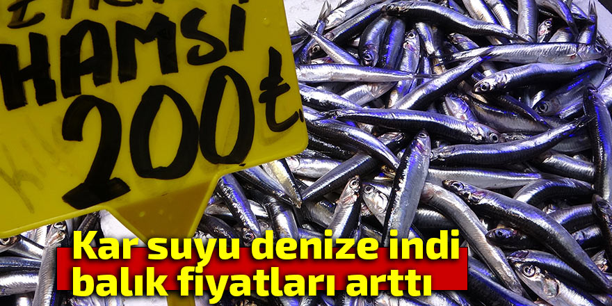  Kar suyu denize indi, fırtına çıktı, balık fiyatları arttı