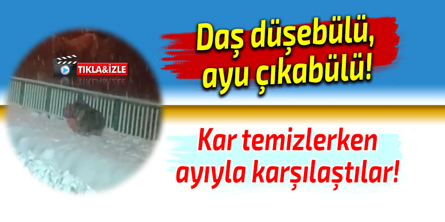 Kar temizlerken ayıyla karşılaştılar!