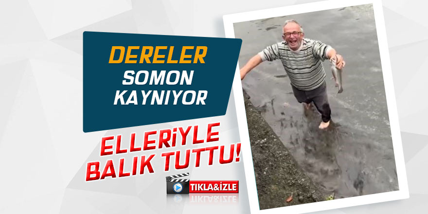 Dereler somon kaynıyor! Elleriyle balık tuttu!