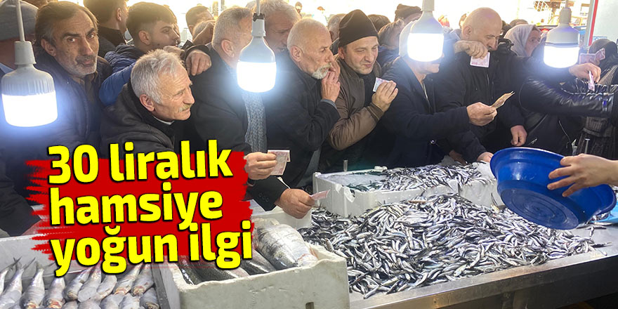 30 liralık hamsiye yoğun ilgi