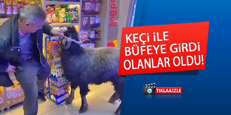 Keçi ile büfeye girdi, olanlar oldu!