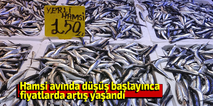 Hamsi avında düşüş başlayınca fiyatlarda artış yaşandı