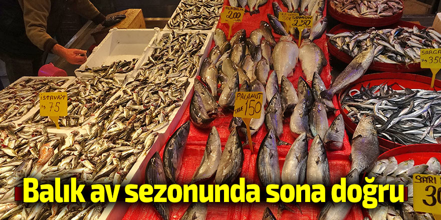 Balık av sezonunda sona doğru