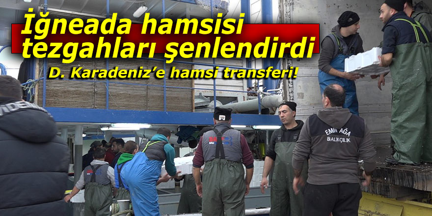 İğneada hamsisi tezgahları şenlendirdi