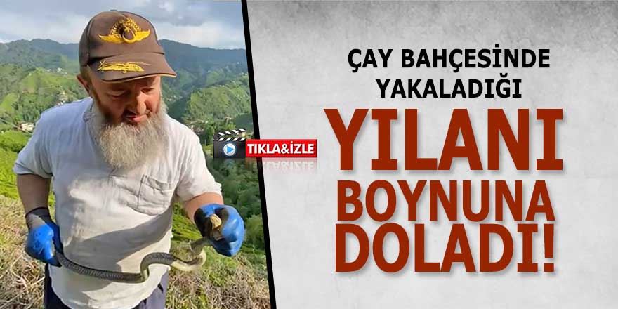 Çay bahçesinde yakaladığı yılanı boynuna doladı!