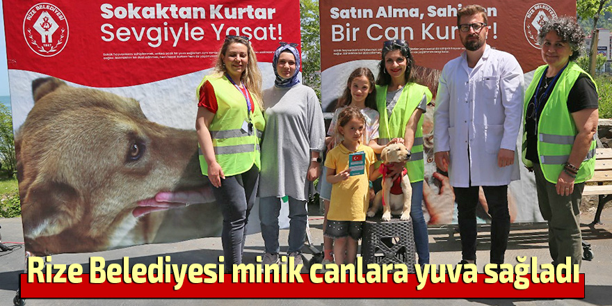 Rize Belediyesi minik canlara yuva sağladı