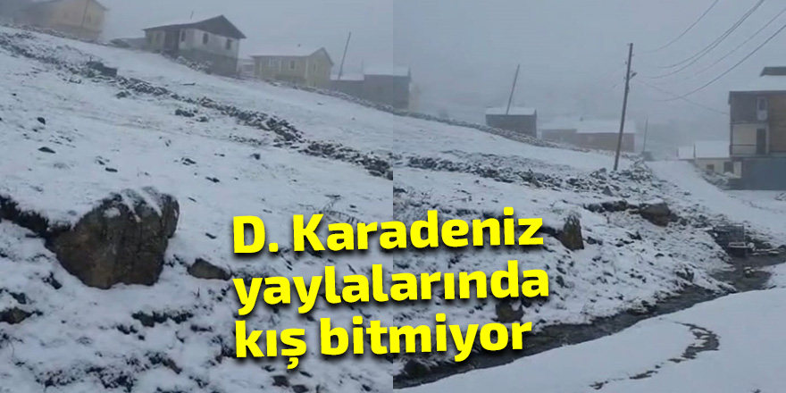 D. Karadeniz yaylalarında kış bitmiyor