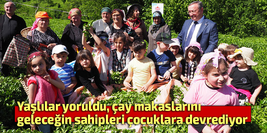 Minikler çay hasadı yaptı