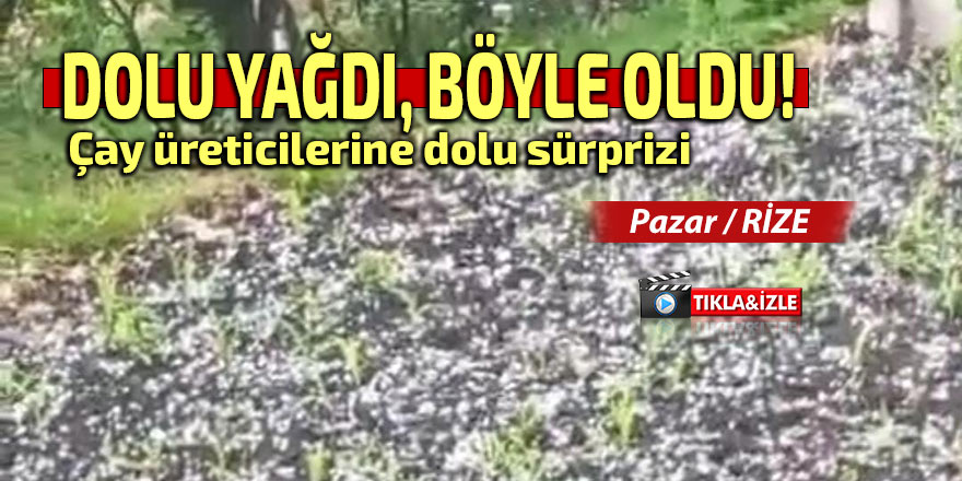 Çay üreticilerine dolu sürprizi