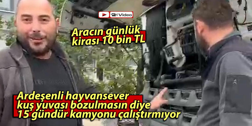 Ardeşenli hayvansever, kuş yuvası bozulmasın diye kamyonu çalıştırmıyor