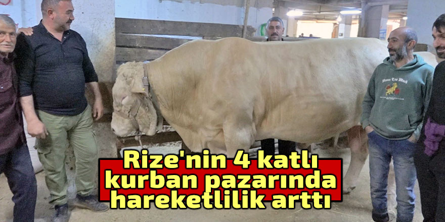 Rize'de 4 katlı kurban pazarında hareketlilik arttı
