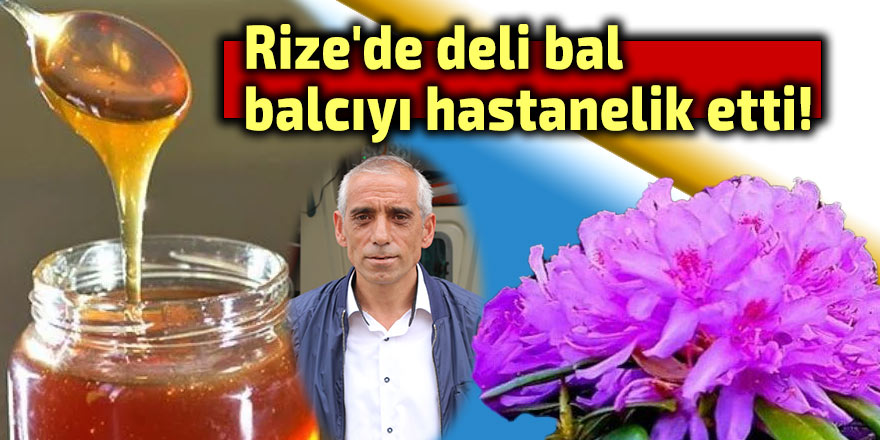 Rize'de deli bal, balcıyı hastanelik etti!