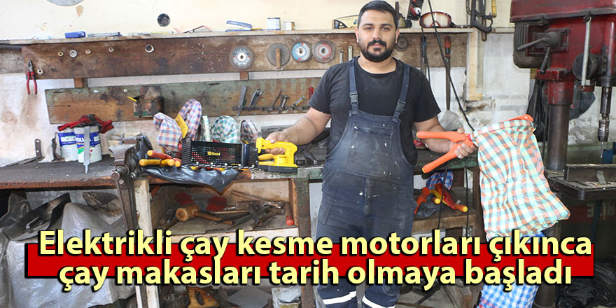 Elektrikli çay kesme motorları çıkınca çay makasları tarih olmaya başladı