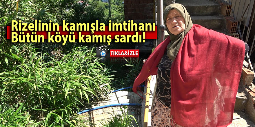 Rizelinin kamışla imtihanı: Bütün köyü sardı!