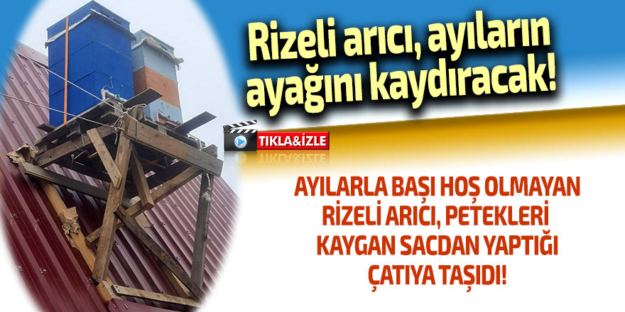 Rizeli arıcıdan ayıların ayağını kaydıracak iş!