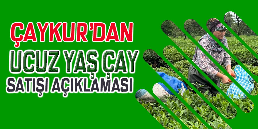 Çaykur'dan ucuz yaş çay satışı açıklaması