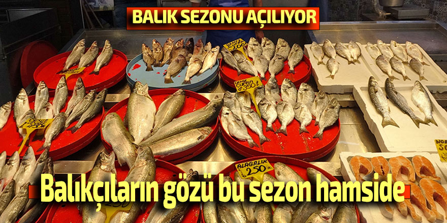 Balıkçıların gözü bu sezon hamside