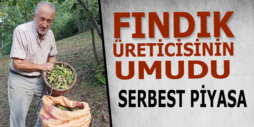 Fındık üreticisinin umudu serbest piyasa