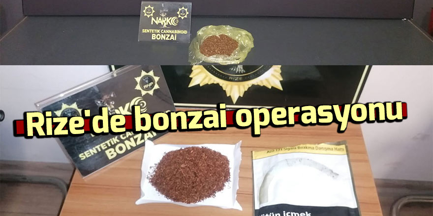 Rize'de bonzai operasyonu