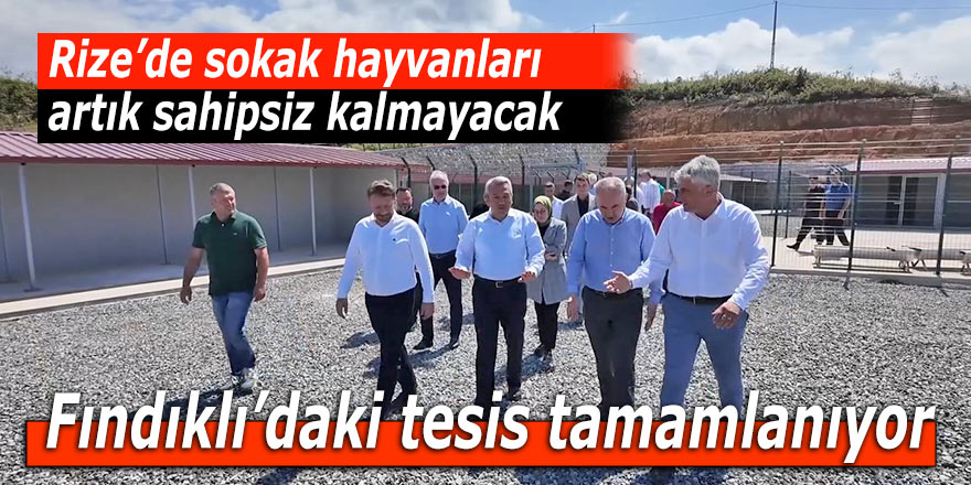 Rize'de sokak hayvanları yaşam alanı tamamlanıyor
