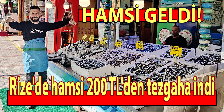 Rize'de hamsi 200 TL'den tezgaha indi