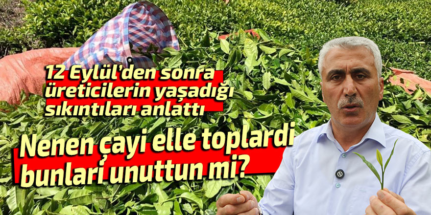 Nenen çayi elle toplardi, bunlari unuttun mi?