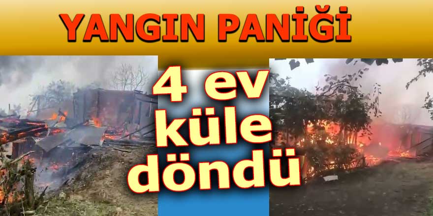 Yangın paniği: 4 ev küle döndü