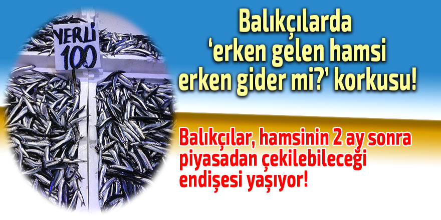 Balıkçılarda "erken gelen hamsi erken gider" endişesi!