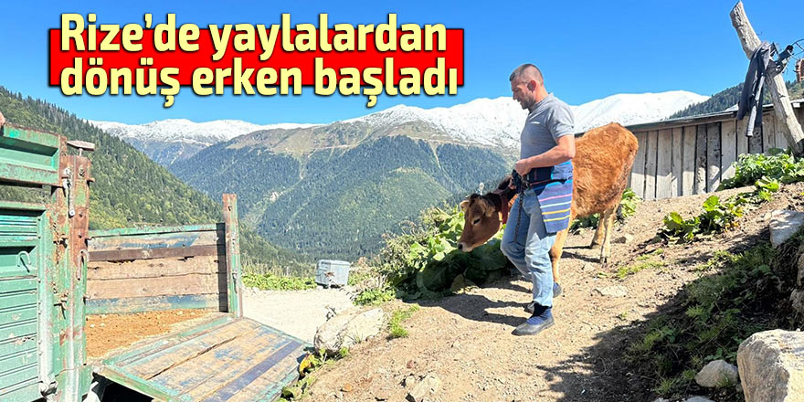Rize’de yaylalardan dönüş erken başladı