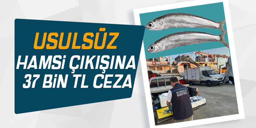 Usulsüz hamsi çıkışına 37 bin TL ceza