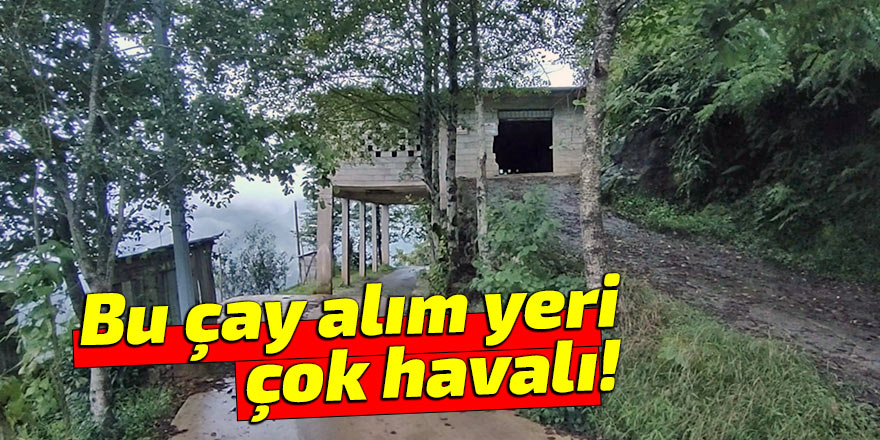 Bu çay alım yeri çok havalı!