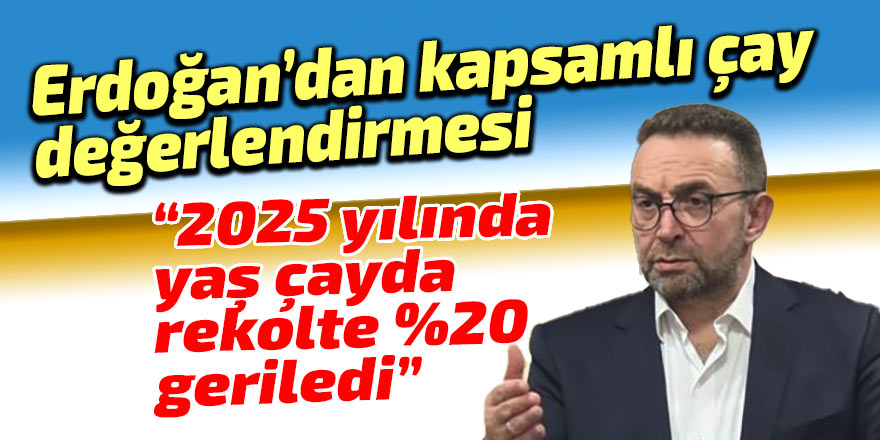 2025 yılında yaş çayda rekolte %20 düştü