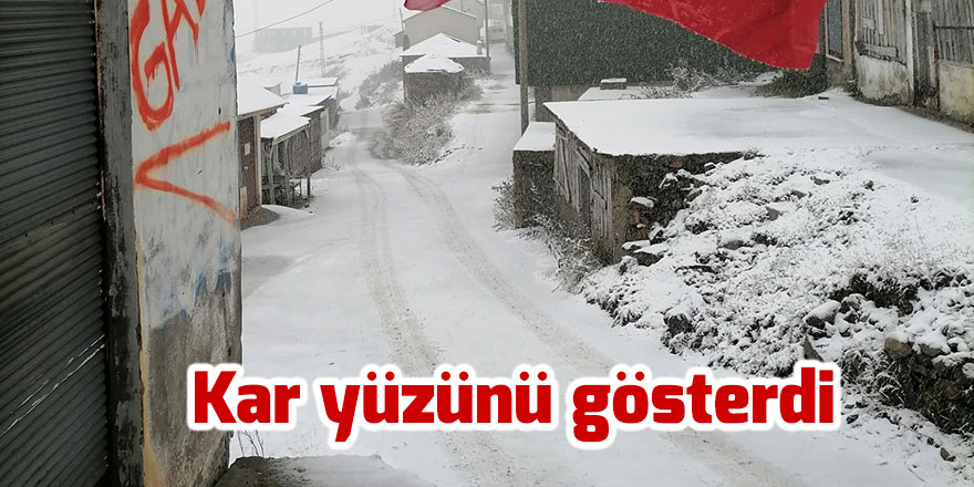 Karadeniz'in yüksek kesimleri kara teslim oldu