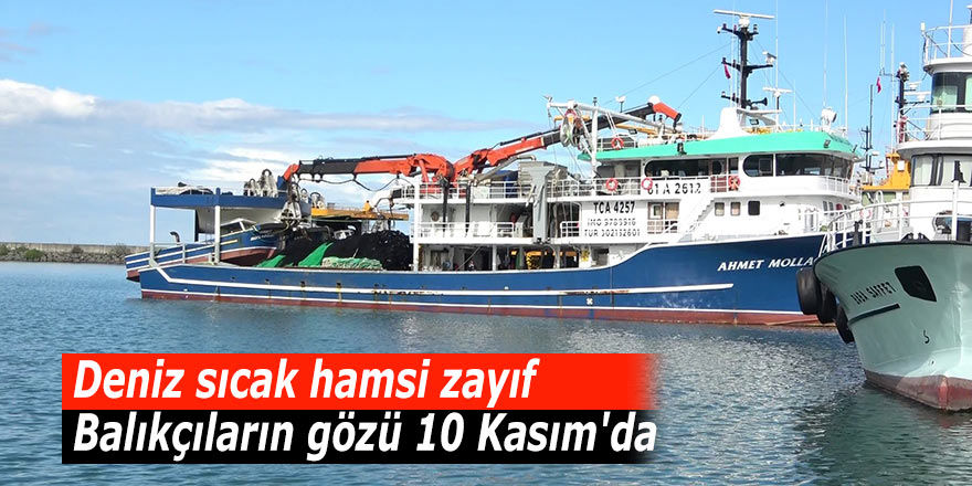 Deniz sıcak hamsi zayıf: Balıkçıların gözü 10 Kasım'da