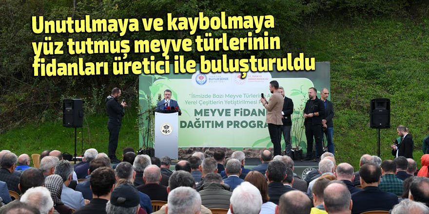 O meyveler yeni fidanlarda büyüyecek